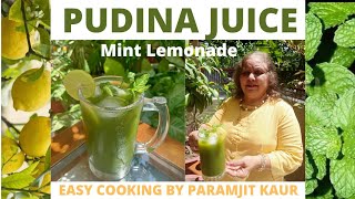 PUDINA JUICE / MINT LEMON JUICE / MINT LEMONADE