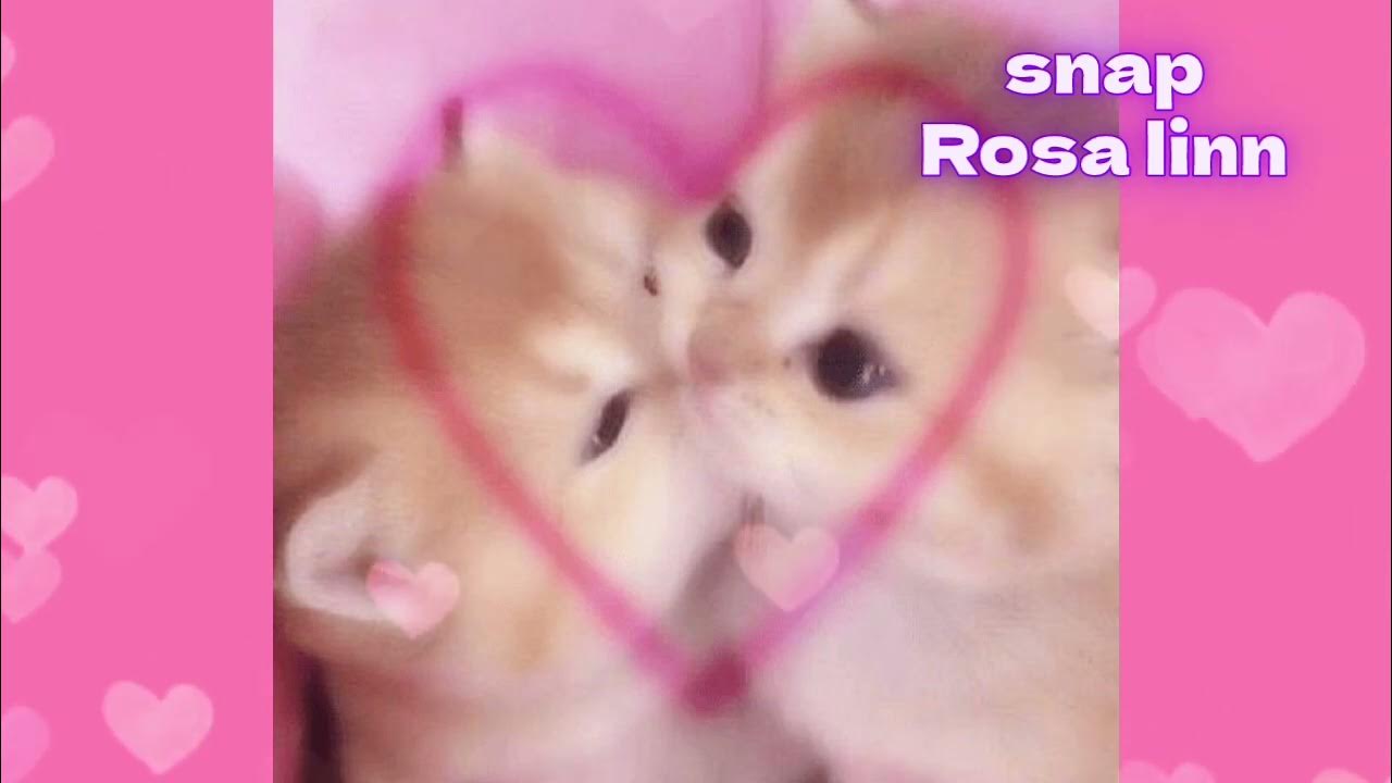 snap speed up 🩹 YouTube