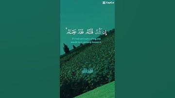 وإذ قال الله #قرآن #تلاوة_هادئة #الرحمن #قران_كريم #اكسبلور #دويتو #تلاوة_خاشعة #ترند #العظماء #لايك