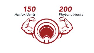 Player Profile Health benefits of Ganoderma Lucidum [Reishi Mushroom] | Gano Excel