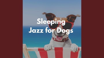Grand Moods for Lazy Hound