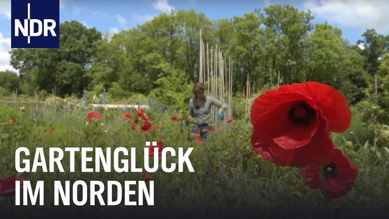 Grünes Glück im Sommergarten | die nordstory | NDR Doku