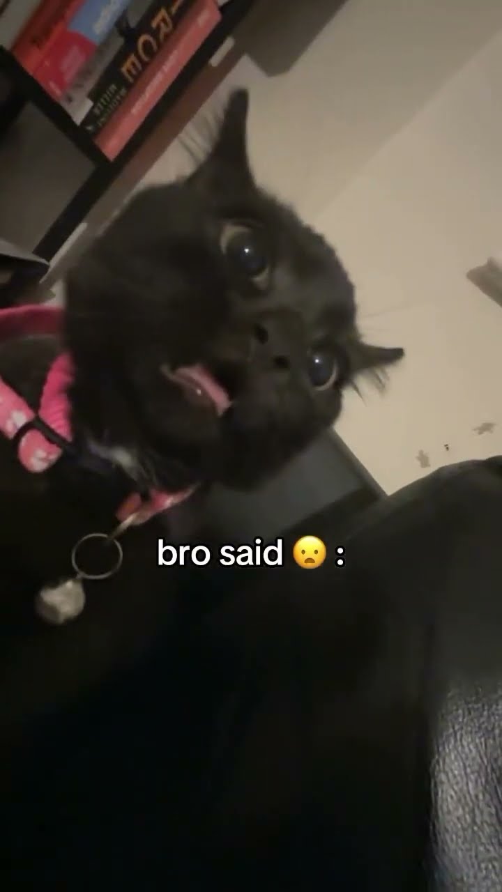 Bro was looking around like nah this jus actually not my vibe