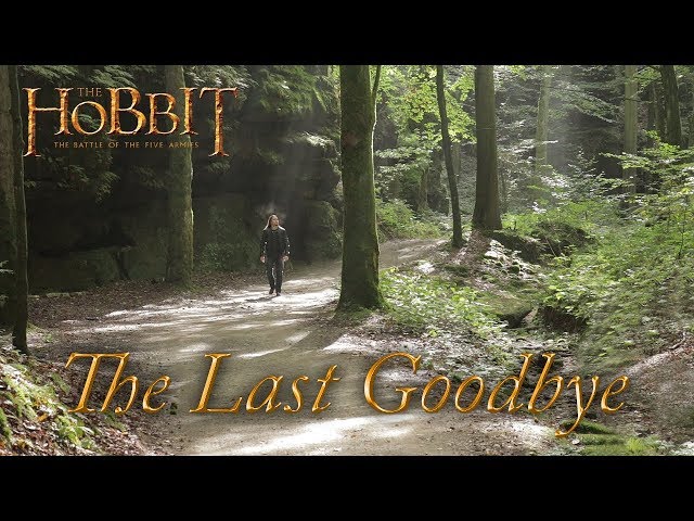 Symphonity - The Last Goodbye
