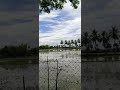 Street And Village Agriculture Land