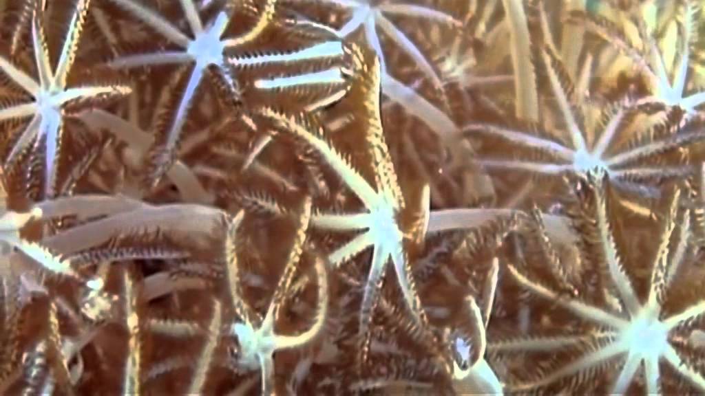 Интересное о погоде: секреты природы