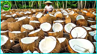 The Most Modern Agriculture Machines That Are At Another Level, How To Harvest Coconuts In Farm ▶4