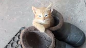 Антон Ковтун. Моя жизнь в деревне.