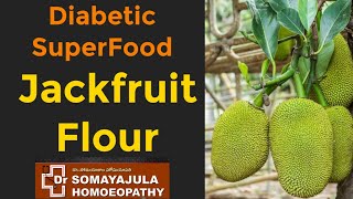 JACK FRUIT FLOUR/ ATTA / Best Diabetic diet/ Reduce Glycemic index/ DrSomayajula homeopathy/English