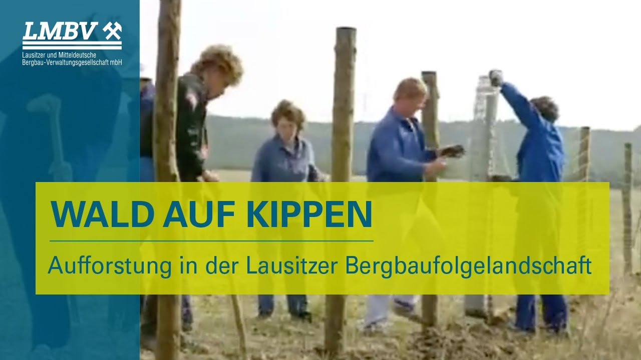 Wald auf Kippen – Aufforstung in der Lausitzer Bergbaufolgelandschaft