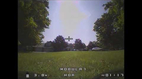 Mobula 7 Townehouse Trees