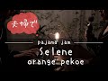 【Selene/orange pekoe】夫婦で演奏してみた【ピアノ× ボーカル】(cover)