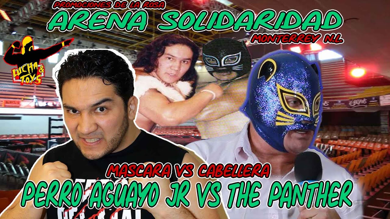 The Panther vs Perro Aguayo Jr - mascara vs cabellera - Arena Solidaridad