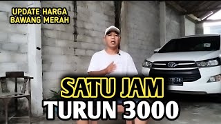 Download Lagu SATU JAM TURUN 3000 | UPDATE HARGA BAWANG MERAH BJM CHANNEL  MP3