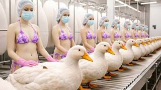 Inside the Duck Down Factory | Why Luxury Winter Jackets Are So Expensive (Full Process)