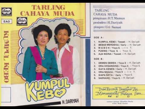 DEMEN DEWEK - TARLING CAHAYA MUDA Yoyo Suwaryo Feat Hj. Dariyah (Side B)