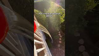 Is This Fishkeeper Lazy Or Genius?