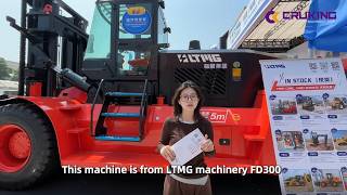 See Why LTMG FD300 Forklift Stands Out on Site