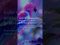 Чем кормить ChatGPT, чтобы он не нёс чушь
