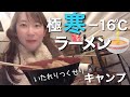 【車中泊女子】いつもの極寒キャンプ！FFヒーターも電気毛布も壊れた！何もしなくてもご飯が出てくる素敵キャンプ（軽キャンピングカーテントむし・アルテン）