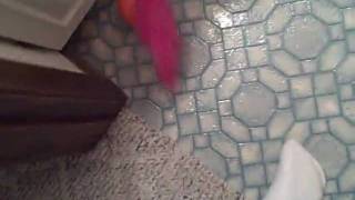 VID00043.AVI