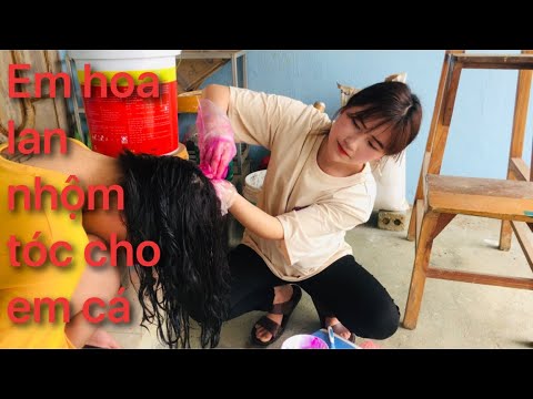 Culuc - Em Hoa Lan Nhộm Tóc Cho Em Cá ( Và Cái Kết ) | Foci