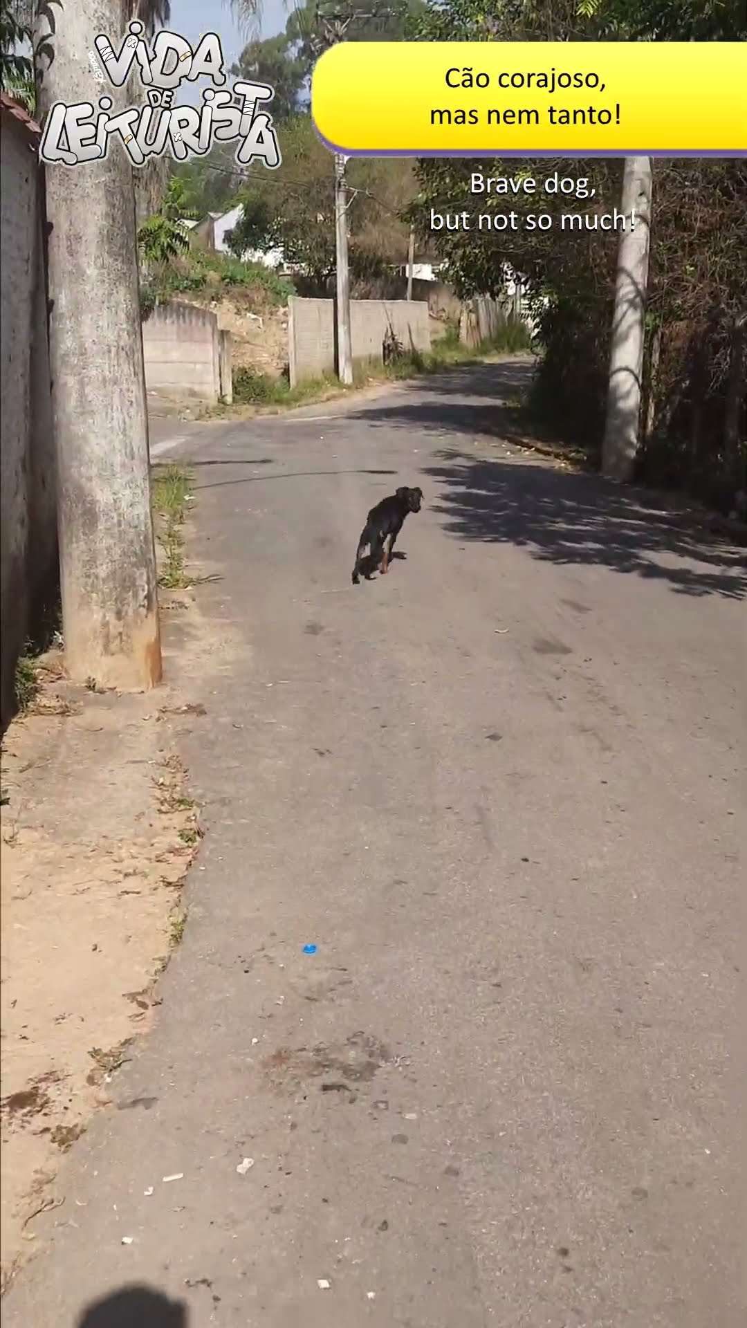 Cão corajoso, mas nem tanto!