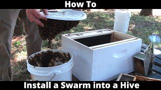 How To Install a Swarm into a Hive