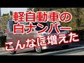 軽自動車の 白ナンバー 急増の 理由は? 申し込み いつまで?