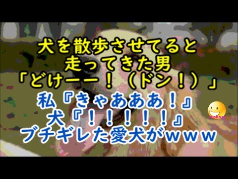 【スカッとする話】犬を散歩させてると、走ってきた男「どけ！（ドン！）」私『きゃあああ！』犬『！！』ブチギレた犬がｗｗｗ【renkoni衝撃！スカッと修羅場体験】