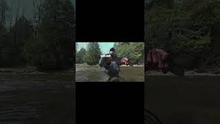 trout opener! #fishing #fish #steelhead #shorts #trout