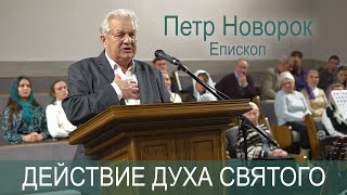 Действие Духа Святого. Петр Новорок, епископ, старейшина ОЦ ХВЕ.