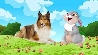 ДОМАШНИЕ ЖИВОТНЫЕ НА ФЕРМЕ. КТО ТАКОЙ КРОЛИК? музыкальный мультик. Ферма Микки. Серия 17 ДОМАШНИЕ ЖИВОТНЫЕ НА ФЕРМЕ. КТО ТАКОЙ КРОЛИК? музыкальный мультик. Ферма Микки. Серия 17