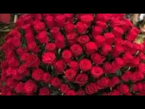 Jaala Qaba Koo Nai Yaadadha