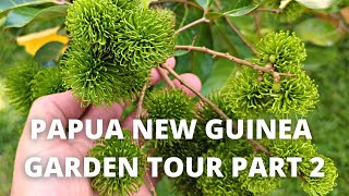TROPICAL GARDEN TOUR IN PNG PART 2
Part 2 of the garden tour in my hometown Kimbe in PNG. Ft Rambutan, Pomelo, Coconuts, Orange, Jackfruit etc... TROPICAL GARDEN TOUR IN PNG PART 2