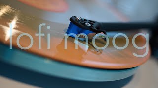 Lofi Synth Moog Matriarch Patch 2