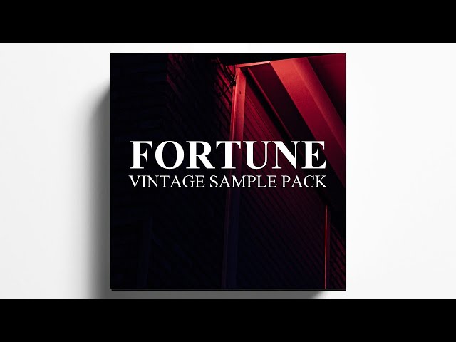 FREE VINTAGE 90s SAMPLE PACK - FORTUNE class=