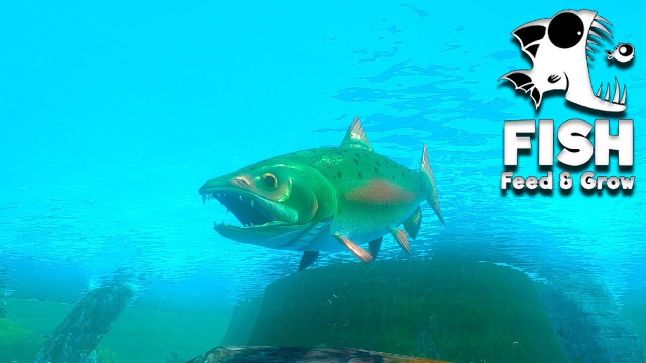 Feed and Grow Fish 01 Vamos comer, ou virar comida?! (Deathmatch