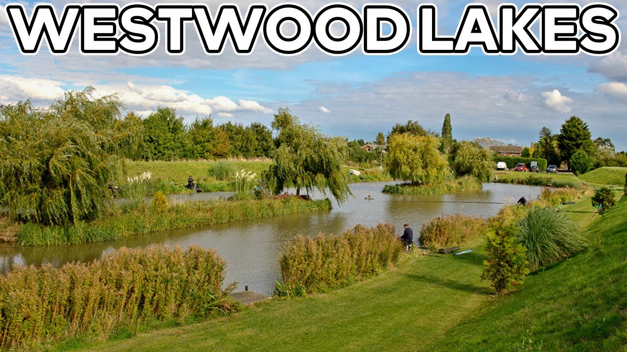 The lake with everything in! Westwood Lakes Boston YouTube