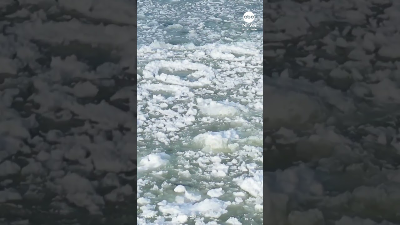 Ice pancakes on Lake Michigan