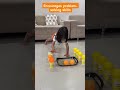 Ball and cup balancing challenge