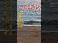 모래알갱이 떠나고싶다 은빛햇살바다로 임영웅 Shorts