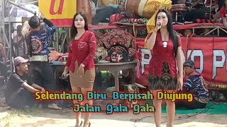 Download lagu LAGU TRENDING ‼️ SELENDANG BIRU ~ GALA-GALA JARANAN SRIJOYO PUTRO ORIGINAL TERBARU 2024 AUDIO JERNIH