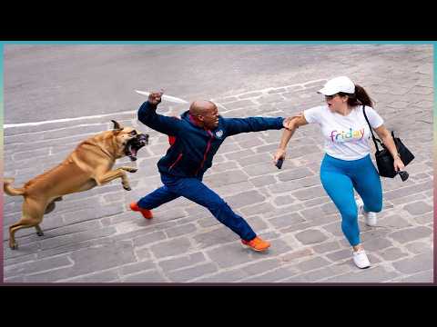 People Who Messed With the Wrong Guard Dogs