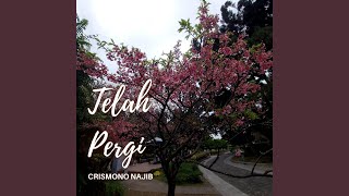 Tlah Pergi