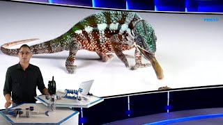 1   Bionics4Education