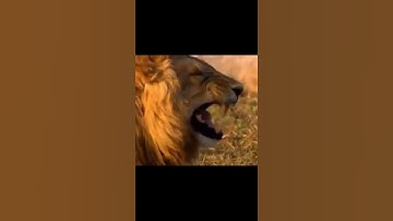 Chấp cả 9 tố cáo cơ à 🤣 #shorts #lienquan #hackmap