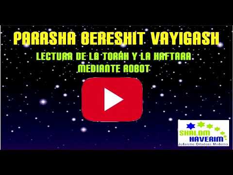 AUDIO VIDEO BERESHIT VAYIGASH center for reproductive rights