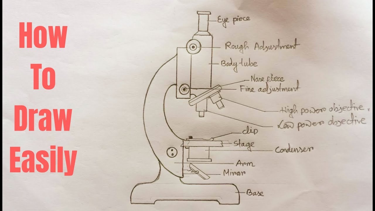 how to draw microscope (compound) - YouTube