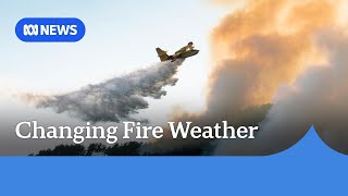 Bushfire season overlap prompts concern among fire-prone nations I ABC NEWS